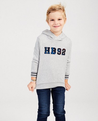 Grijze hoodie Hampton Bays Grijze hoodie Hampton Bays