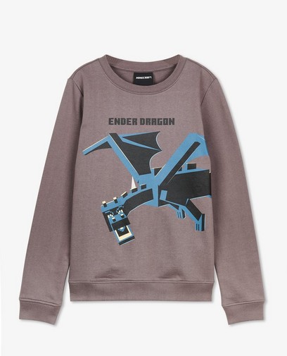 Grijze sweater met Ender Dragon