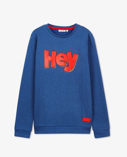 Blauwe sweater met print
