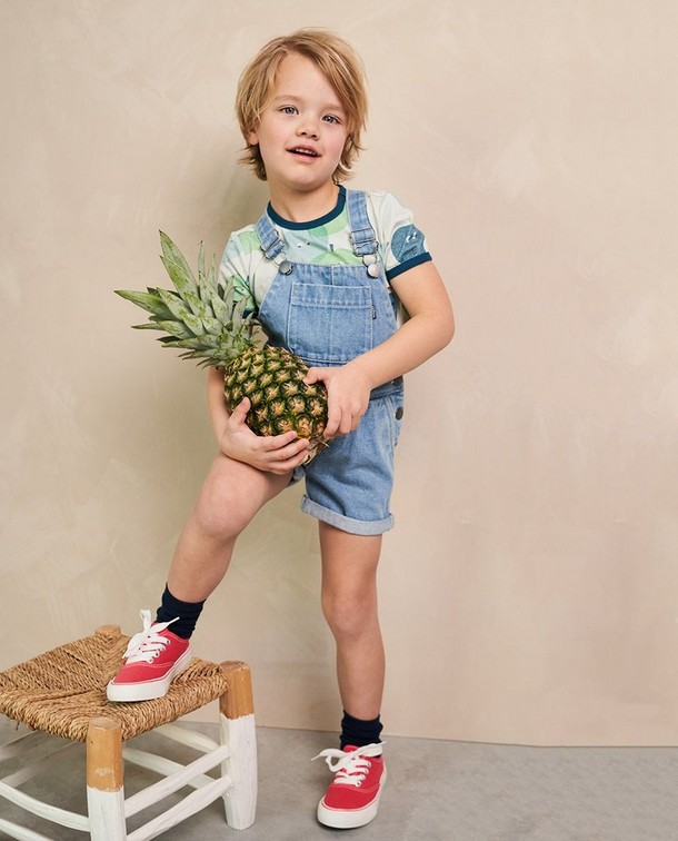 Ananas Ananas